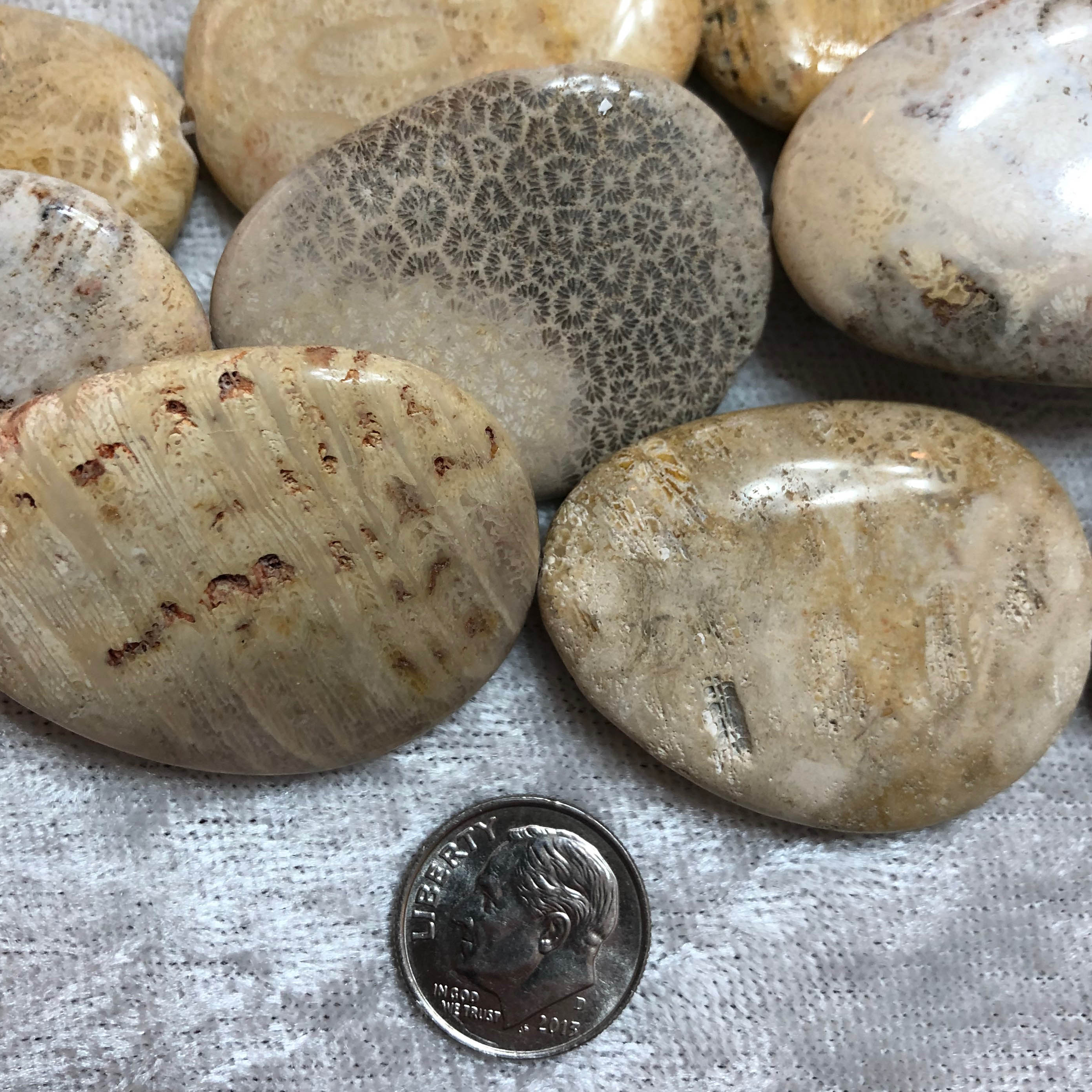 Fossilized Coral Large Flat Pear Shaped Beads